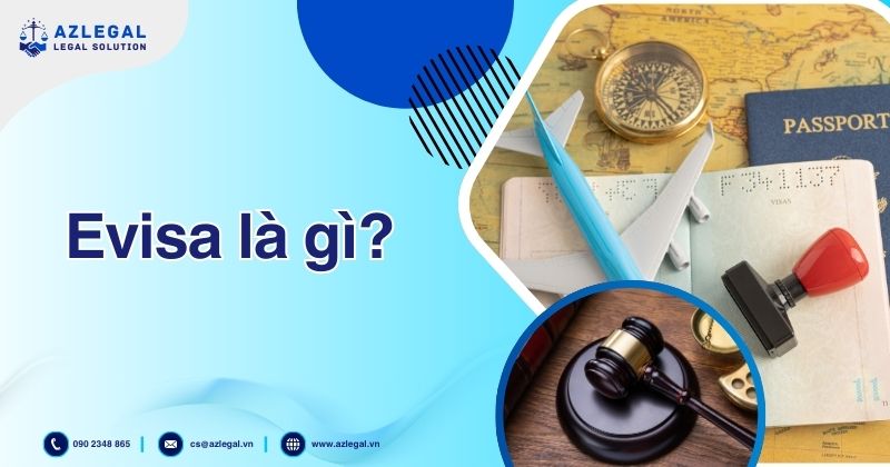 Evisa là gì?